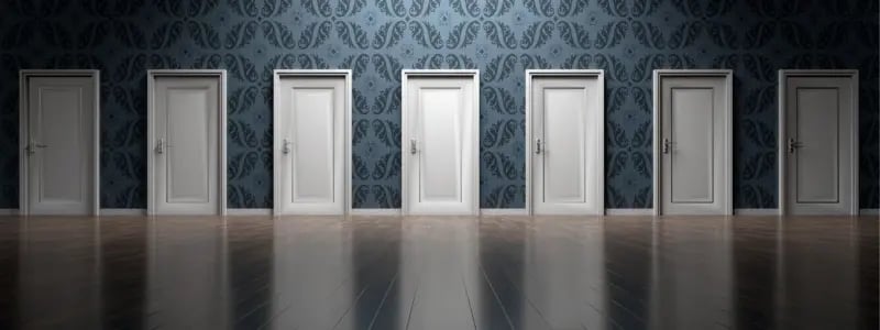 A front on view of a line of closed doors, symbolising different choices and outcomes.