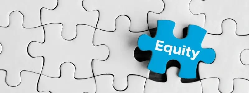 White jigsaw pieces connected, with a blue standing out, with 'Equity' written on.