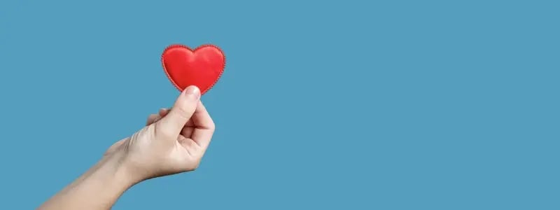 A hand holds up a heart stitching, against a light blue background.