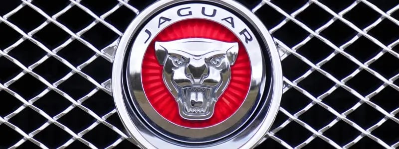 A close up of a Jaguar badge on a metal grille.