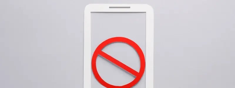 A cardboard cut out of a phone with a no entry sign, signalling no phone allowed.