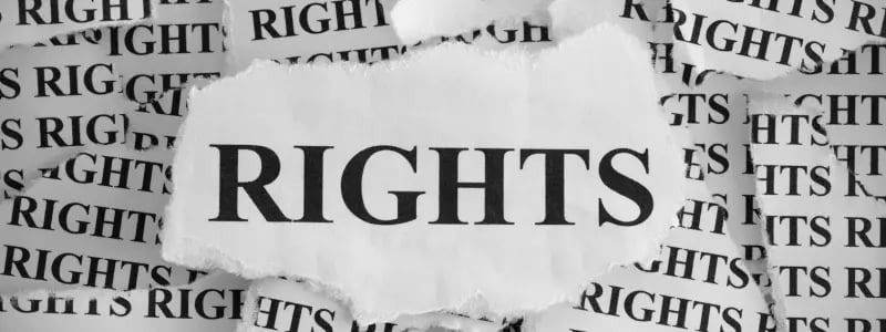 Newspaper cut outs spelling 'RIGHTS' forming the background, with a large white cut out reading 'RIGHTS' again.
