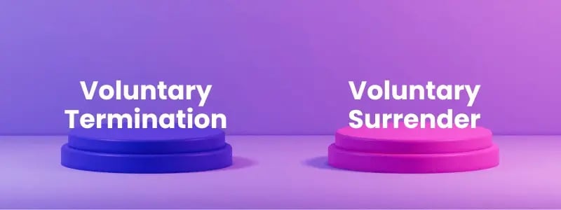 Two counters positioned next to one another in different colours, with 'voluntary termination' on one and 'voluntary surrender' on the other. These sit against a blue and pink gradient background.