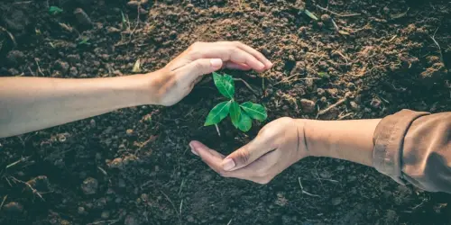 Marsh Finance Strengthens Its Environmental Commitment