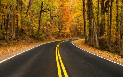 Autumn Driving Safety Tips